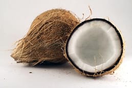 coconut